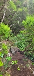 Plants: image 5 Of 208 Thumb